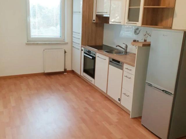Apartment mieten in Traiskirchen, Niederösterreich