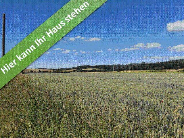 Haus kaufen in Seesen, Niedersachsen