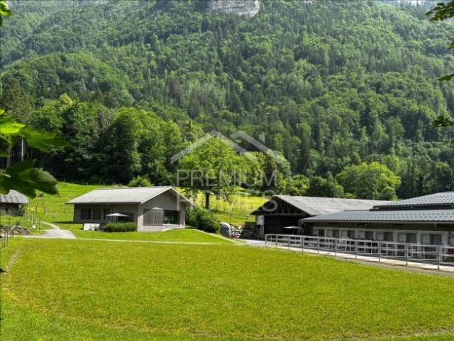 Bauernhaus kaufen in Brienzwiler, Bern