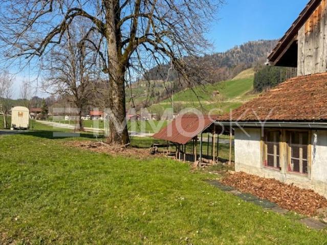 Grundstück kaufen in Laupen (ZH), Zürich