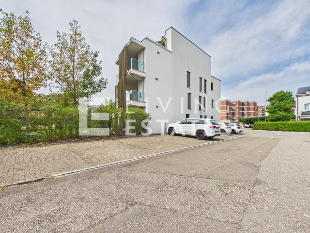 Wohnung kaufen in Zofingen, Aargau