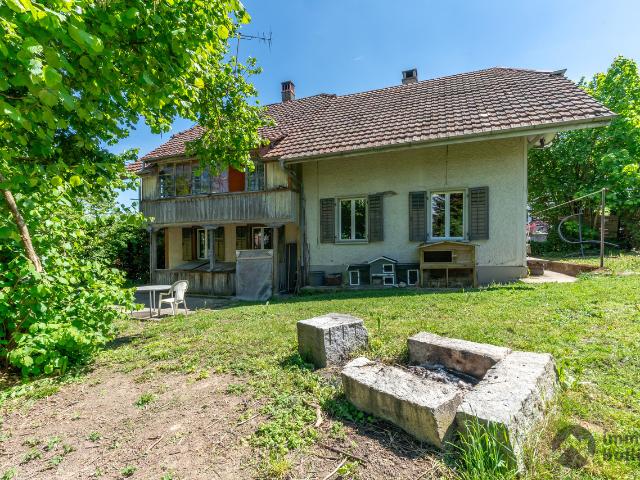 Haus kaufen in Roggwil (BE), Bern