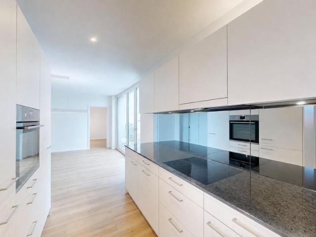 Apartment mieten in Hueber Rebgarten, Romanshorn