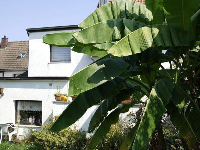 Haus kaufen in Urdenbach, Düsseldorf