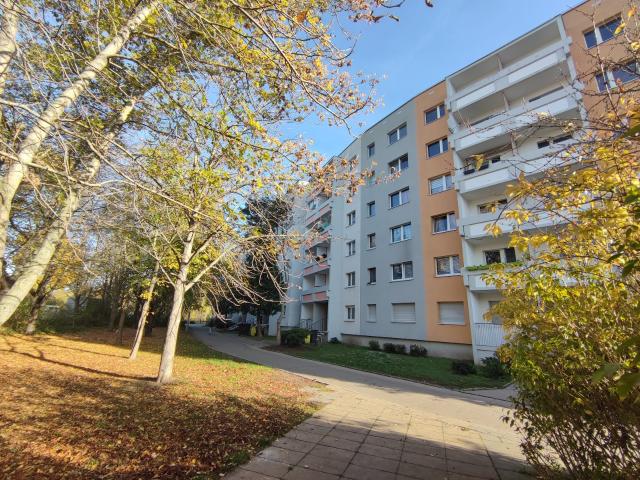 Apartment mieten in Südliche Neustadt, Halle (Saale)
