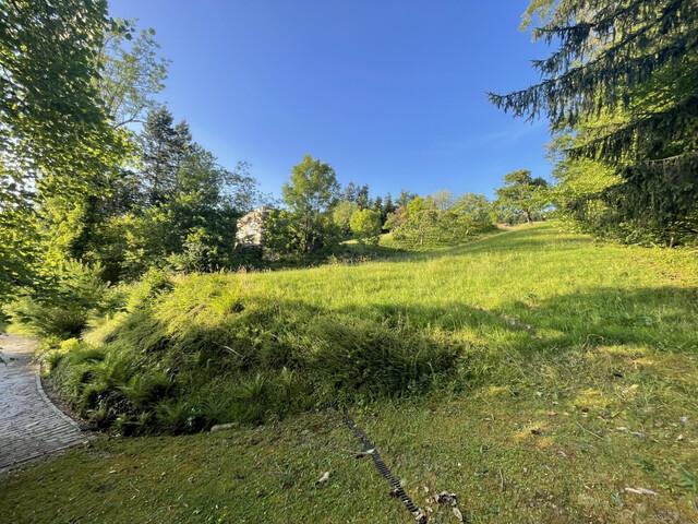 Grundstück kaufen in Schwarzach, Vorarlberg