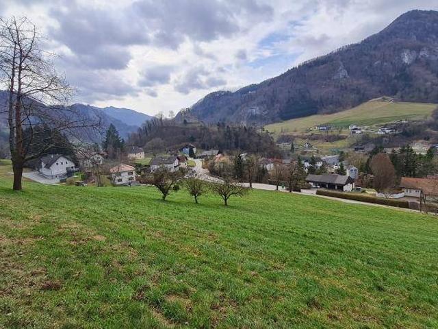 Immobilie kaufen in Losenstein, Oberösterreich