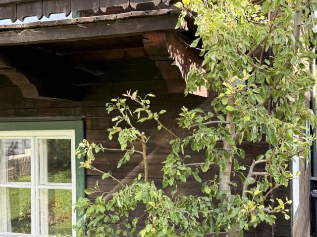Haus kaufen in Kaprun, Bezirk Zell am See