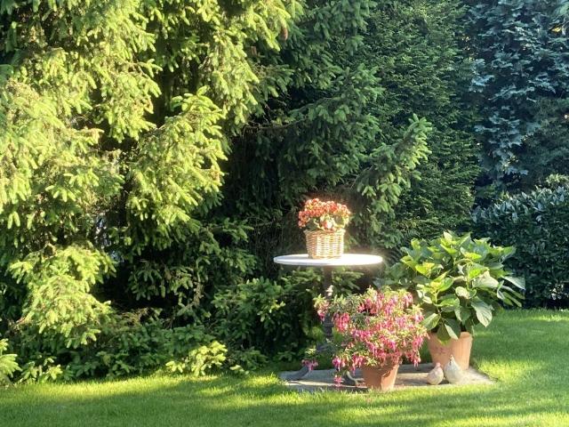 Immobilie kaufen in Oberwil (BL), Basel-Landschaft