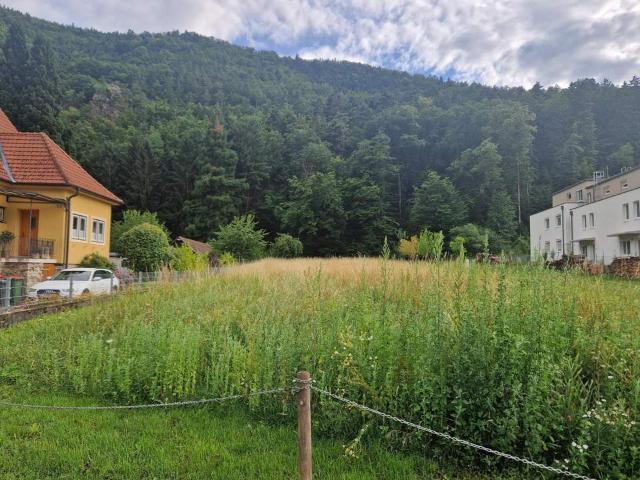 Grundstück kaufen in Niederösterreich