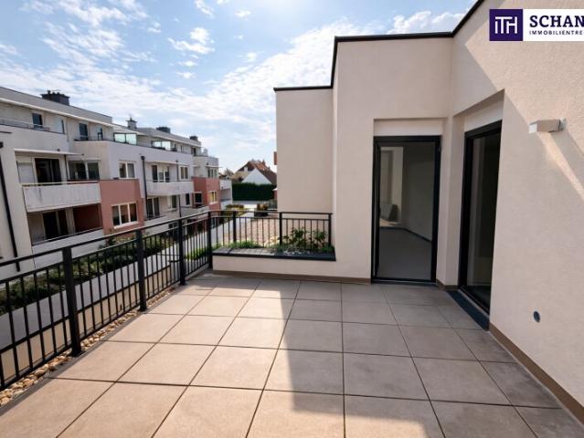 Terrassenwohnung kaufen in Groß-Enzersdorf, Bezirk Gänserndorf