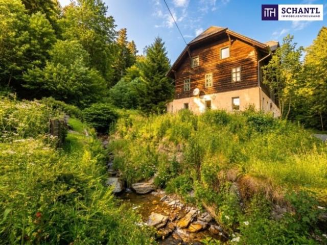 Haus kaufen in St. Lorenzen am Wechsel, Steiermark