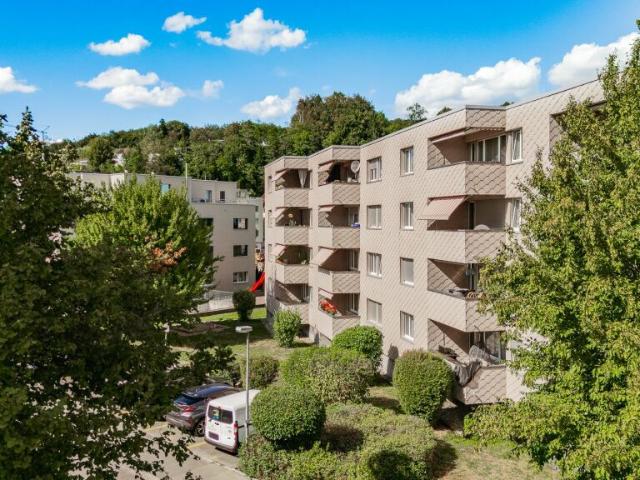 Wohnung kaufen in Weinfelden, Bezirk Weinfelden