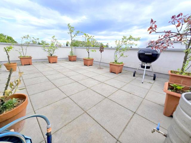 Apartment kaufen in Liebenau, Gersdorf-Feistritz