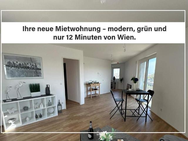 Wohnung mieten in Bruck an der Leitha, Niederösterreich