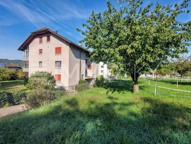 Wohnung kaufen in Moosleerau, Bezirk Zofingen