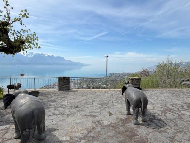 Haus kaufen in Chailly-Montreux, Waadt