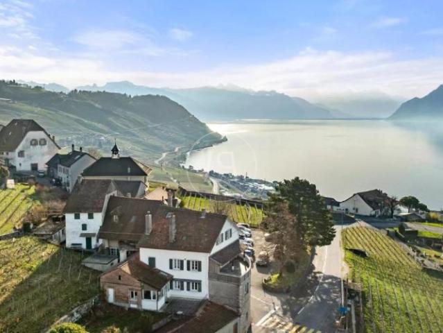 Haus kaufen in Bourg-en-Lavaux, Waadt