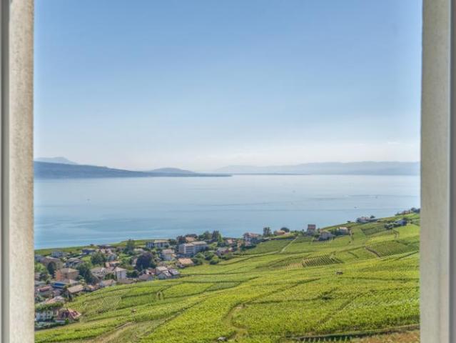 Haus kaufen in Bourg-en-Lavaux, Waadt