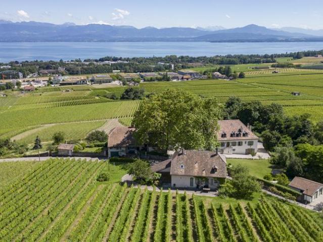 Haus kaufen in Essertines-sur-Rolle, Waadt