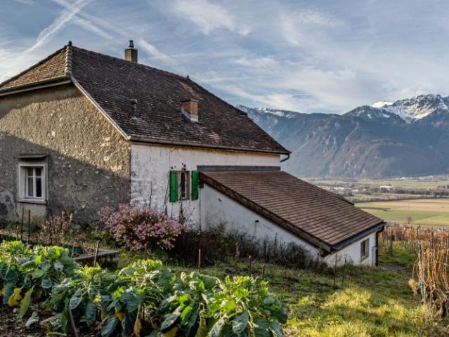 Haus kaufen in Yvorne, Waadt