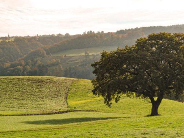 Haus kaufen in Moudon, Waadt