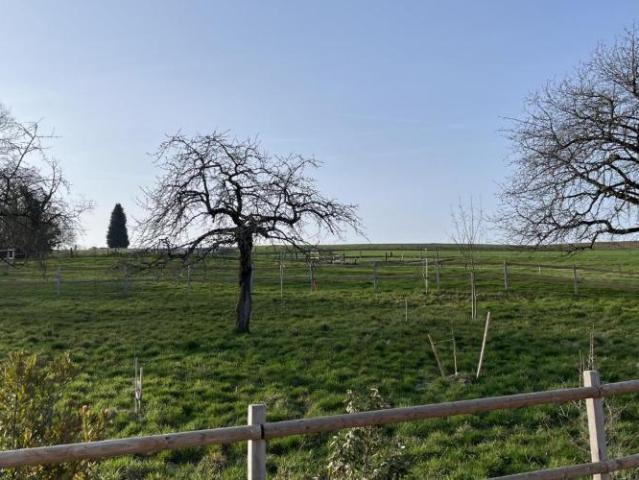 Haus mieten in Treytorrens (Payerne), Waadt