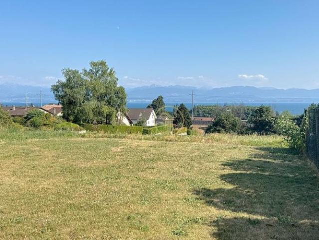 Haus mieten in Mont-sur-Rolle, Waadt