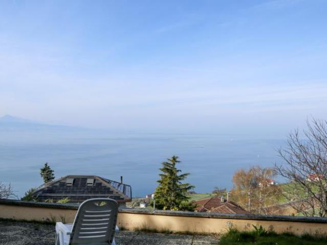Haus kaufen in Bourg-en-Lavaux, Waadt