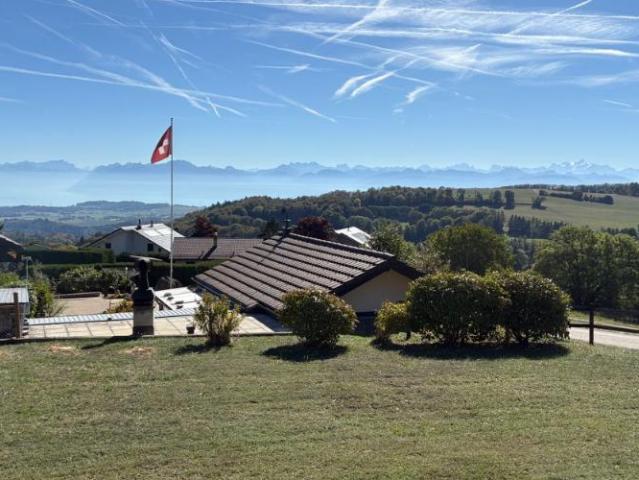 Haus kaufen in Saint-George, District de Nyon