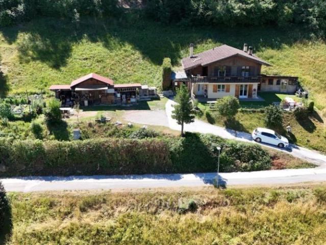 Haus kaufen in Donneloye, Waadt