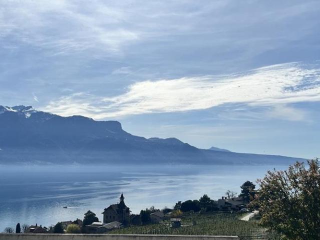 Haus kaufen in Corseaux, Waadt