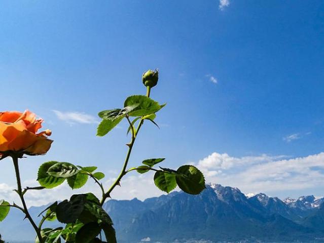 Haus kaufen in Territet, Montreux