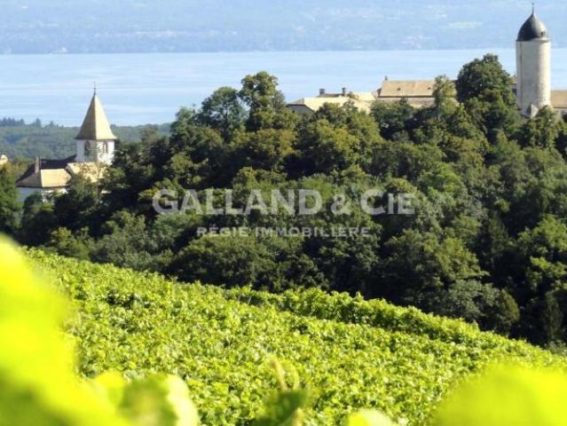 Haus kaufen in Aubonne, Waadt