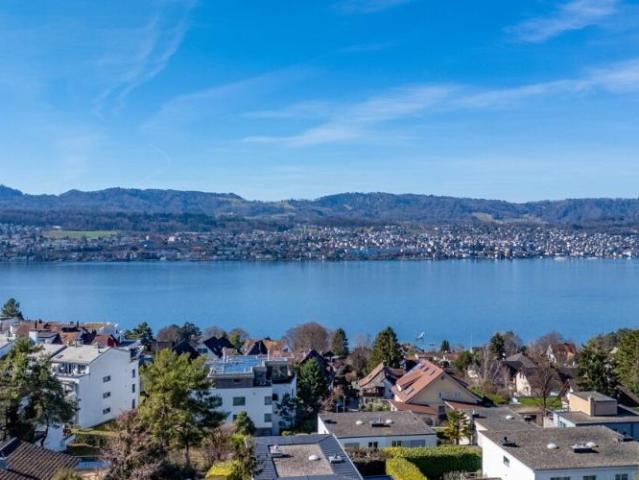 Haus kaufen in Erlenbach (ZH), Zürich