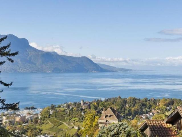 Haus kaufen in Chernex, Montreux