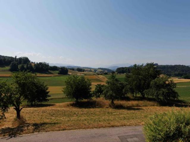 Haus kaufen in Moudon, Waadt