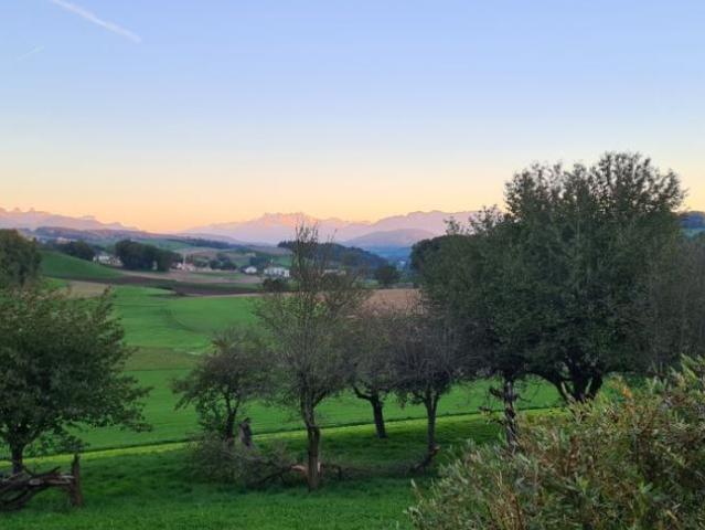 Haus kaufen in Moudon, Waadt