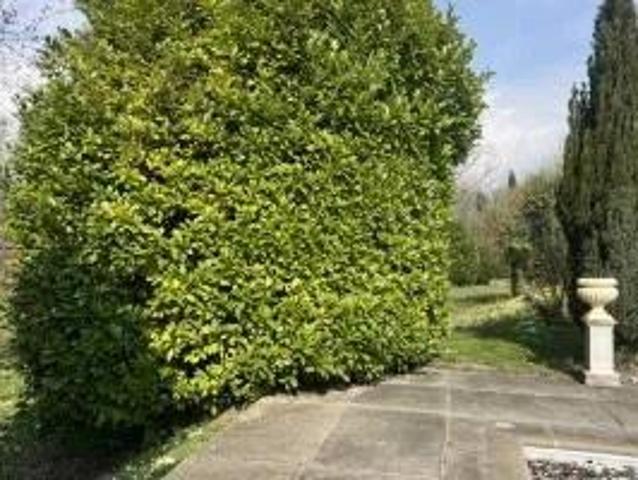 Haus kaufen in Coppet, Waadt