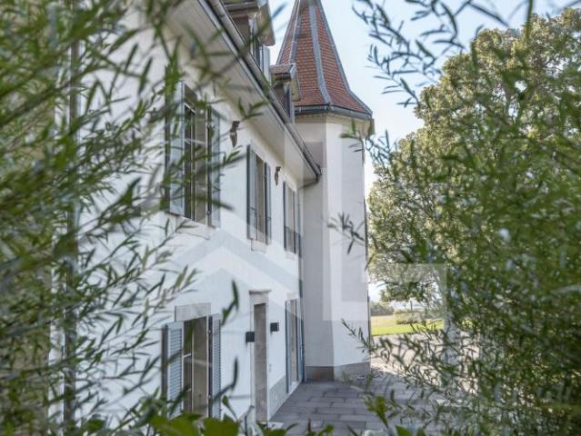 Haus kaufen in Chéserex, Waadt