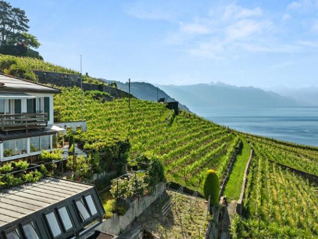 Haus kaufen in Bourg-en-Lavaux, Waadt
