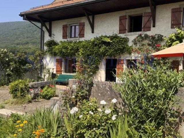 Haus kaufen in Mollens (VD), District de Morges