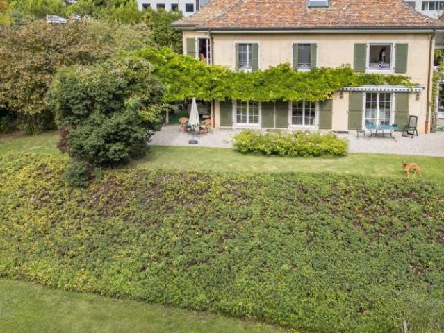 Haus kaufen in Rolle, District de Nyon