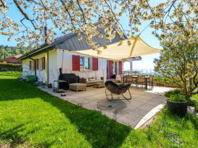 Haus kaufen in Saint-George, Waadt