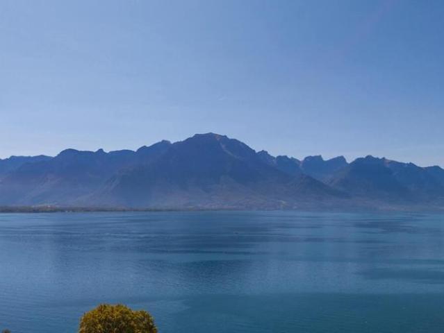 Haus kaufen in Chailly-Montreux, Waadt
