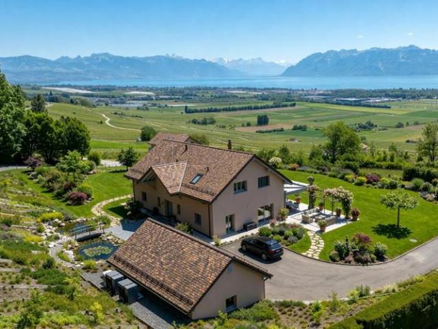 Haus kaufen in Féchy, Waadt