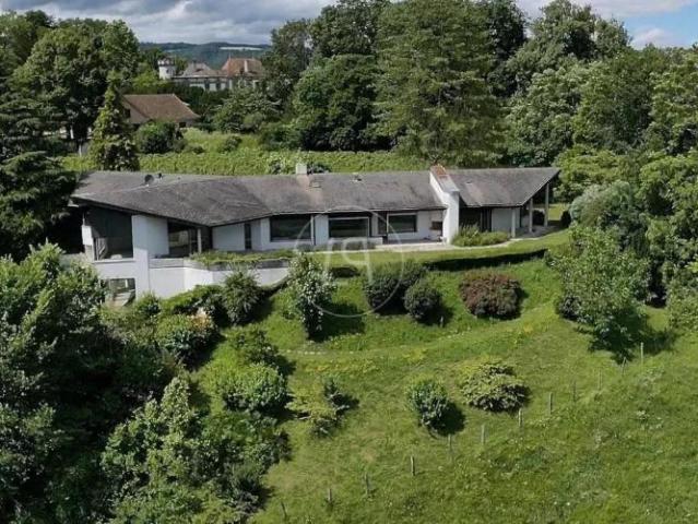 Haus kaufen in Dully, Waadt