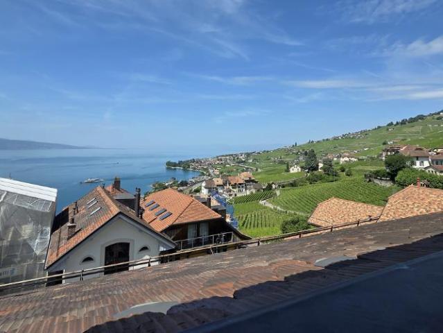 Haus kaufen in Bourg-en-Lavaux, Waadt