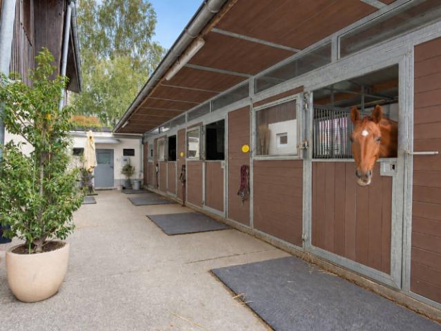 Haus kaufen in Apples, Hautemorges
