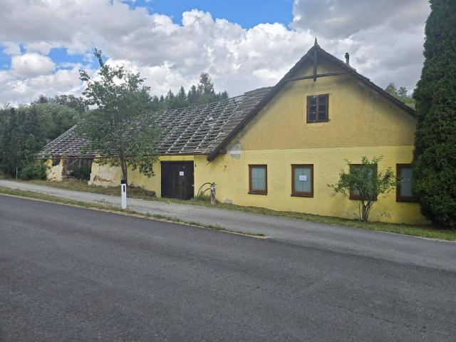 Haus kaufen in Waldkirchen an der Thaya, Niederösterreich